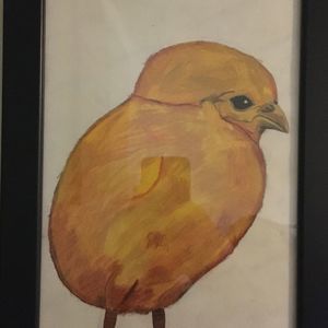 Meet your Posher, Jay